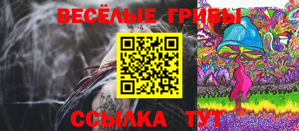 Оренбург  Псилоцибиновые грибы MAGIC MUSHROOMS  где найти   Вход с VPN 